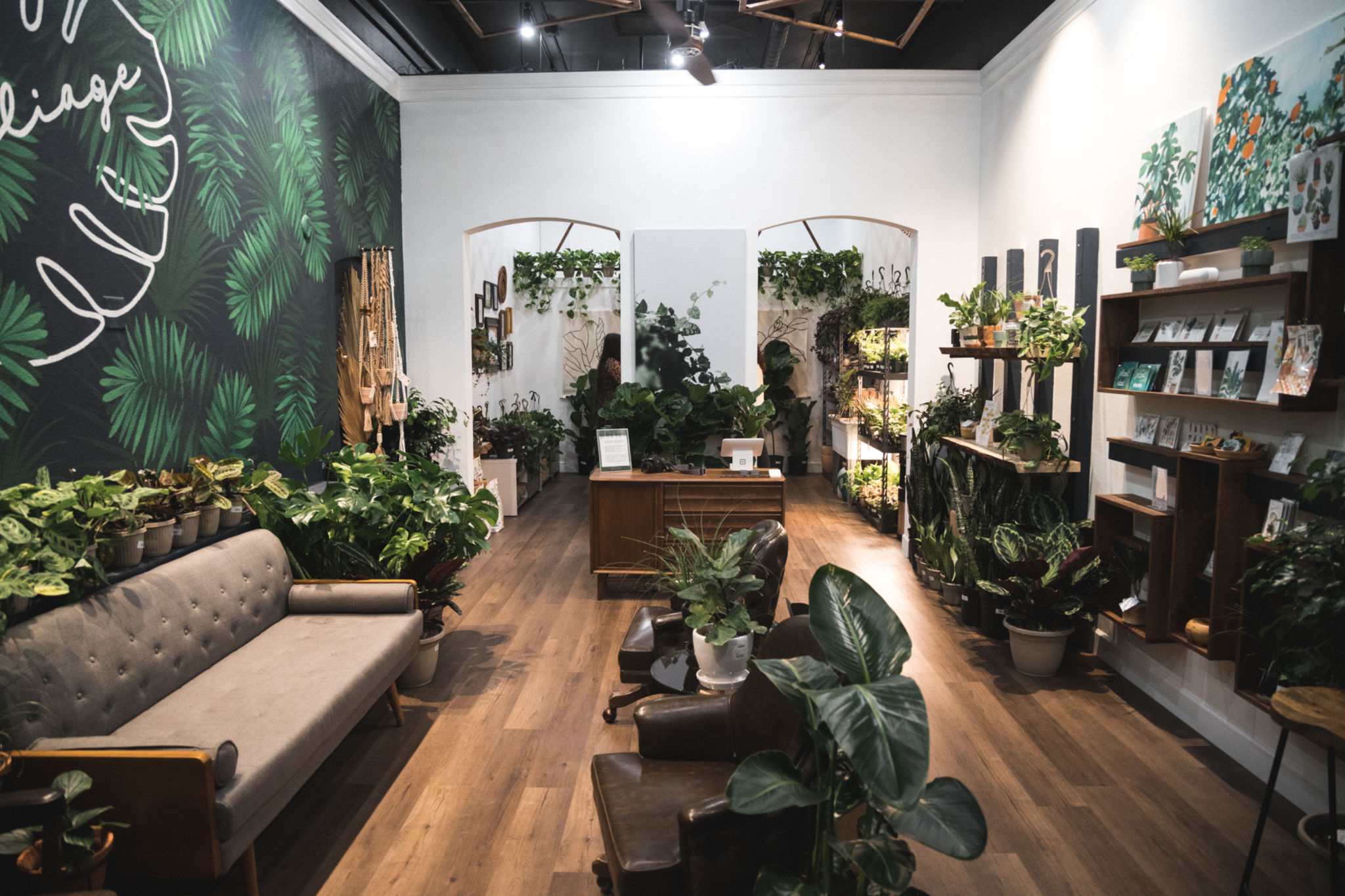 Decoração com plantas: como montar uma urban jungle?