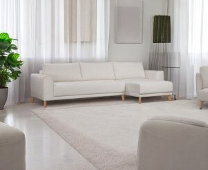 sala de estar com tapete sofa e planta