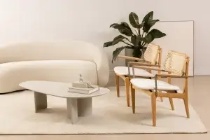 Sala de estar com poltronas e planta