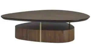 O poder dos tons terrosos na decoração: aconchego, elegância e conexão com a natureza 7 Mesa de Centro