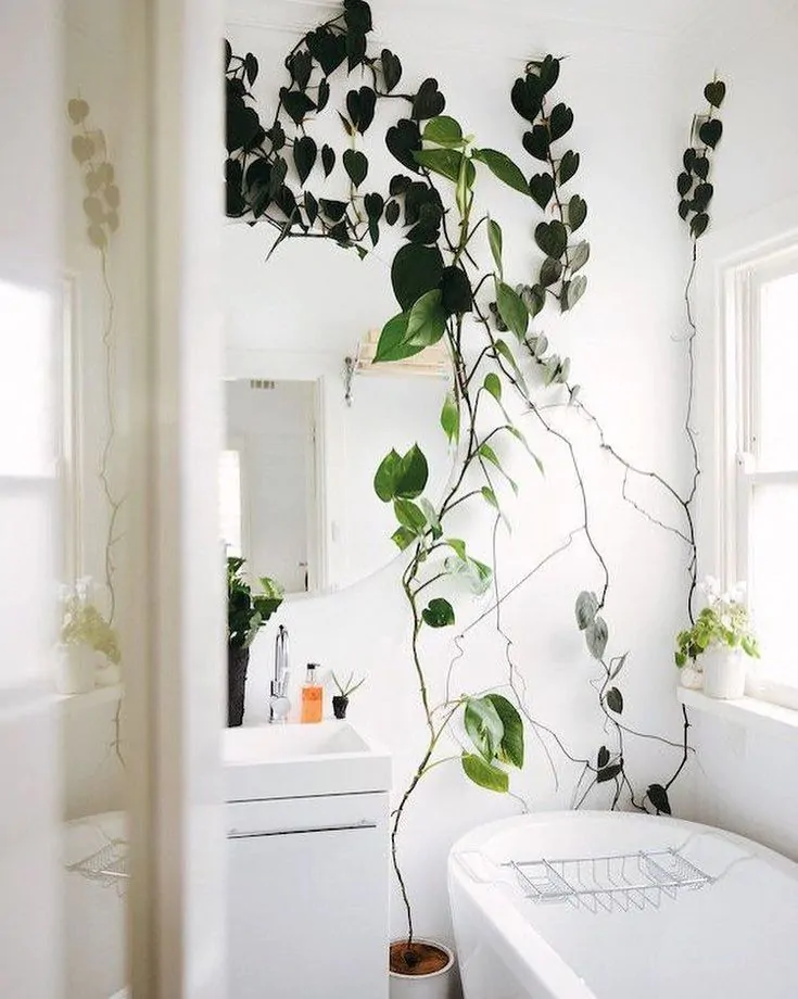 banheiro com jardim filodendros