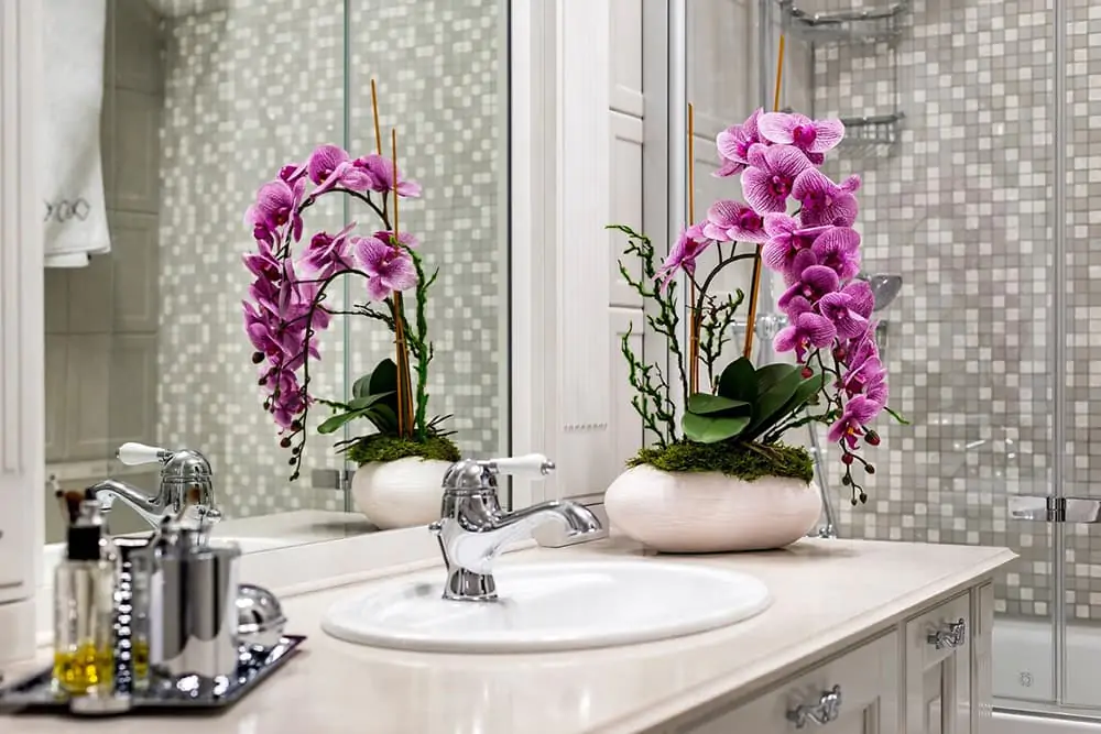 banheiro com jardim orquideas
