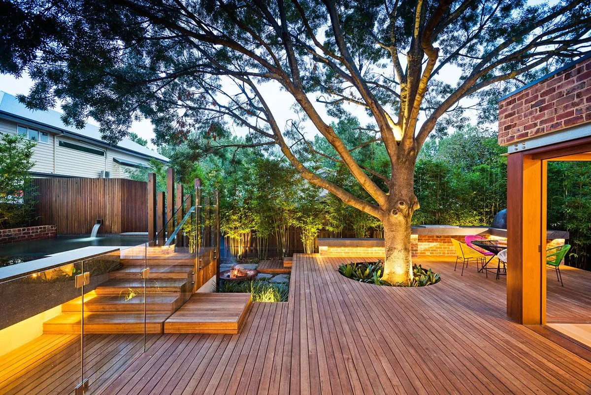 deck de madeira com árvore