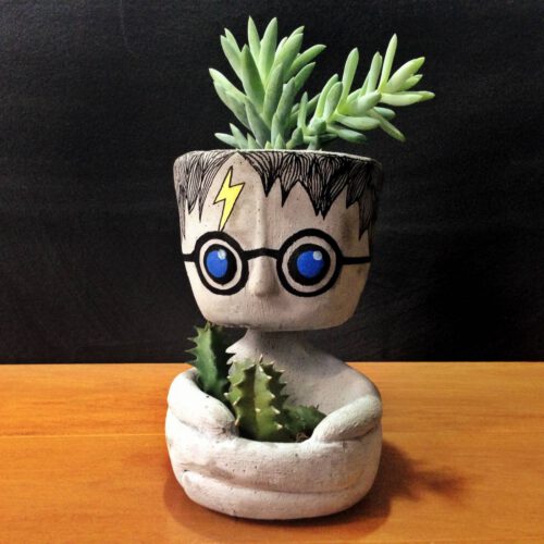 Vaso Decorativo Harry Potter