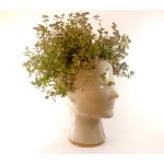 Vaso para Plantas Concrete Face