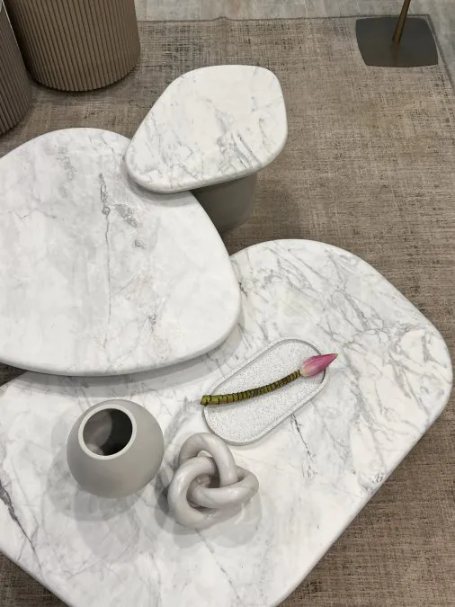 Mesa de Centro Orgânica Bertha em Mármore (6)