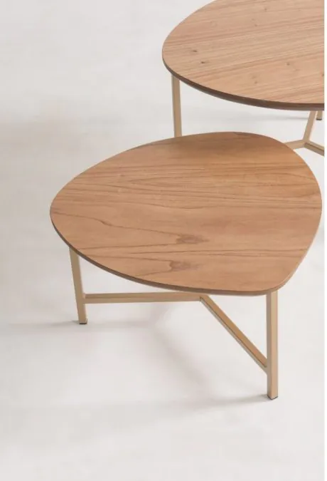 Mesa de Centro Orgânica Marau-
