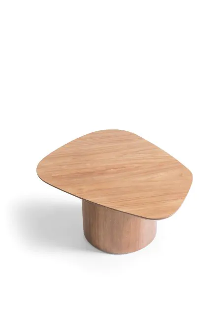 Mesa de Centro (2)
