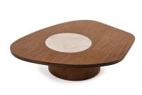Mesa de Centro Orgânica Volterra (4)