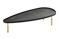 e visualmente sofisticados. Mesa de Centro Orgânica Elipse com tampo assimétrico em laminado de madeira Ébano, bordas elevadas e pés telescópicos em alumínio Dourado Ouro, sobre fundo branco.